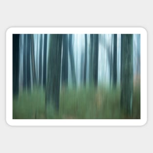 Blurred abstract trees in forest on foggy morning Sticker